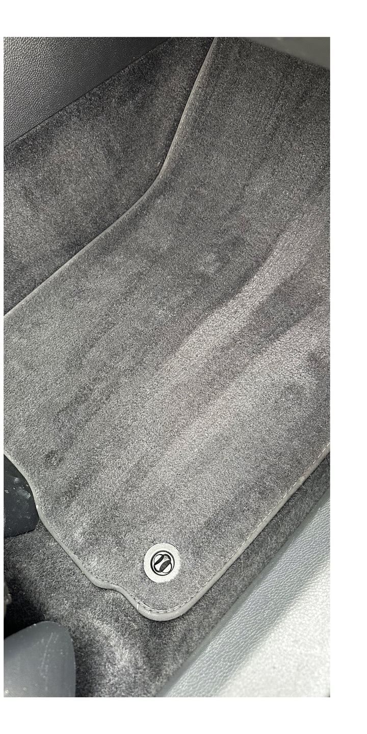 Carpet Deep Detail after